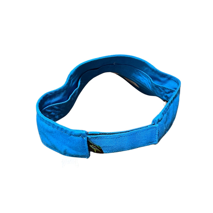 Rays '47 Brand Blue City Connect Skyray Visor