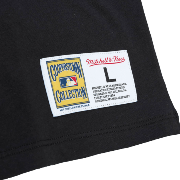 RAYS MEN'S BLACK COLORBLOCK DEVIL RAYS MITCHELL AND NESS T-SHIRT - The Bay Republic | Team Store of the Tampa Bay Rays & Rowdies
