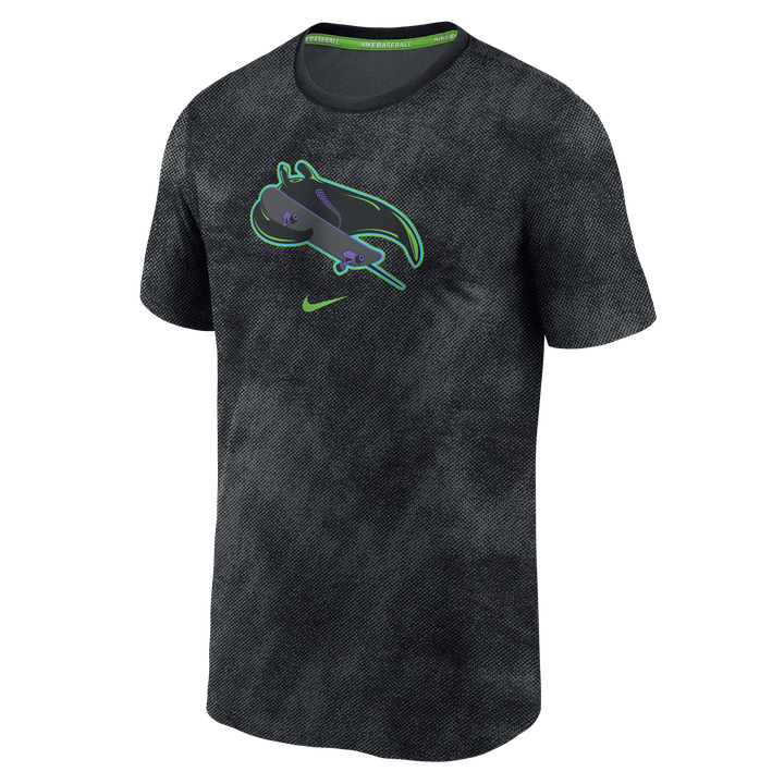 Rays Men's Nike Charcoal Grey City Connect Authentic Collection Skateboard Legend Dri Fit T-Shirt - The Bay Republic | Team Store of the Tampa Bay Rays & Rowdies