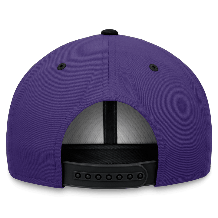 RAYS UNISEX PURPLE NIKE DEVIL RAYS PRO COOP ADJUSTABLE SNAPBACK HAT - The Bay Republic | Team Store of the Tampa Bay Rays & Rowdies