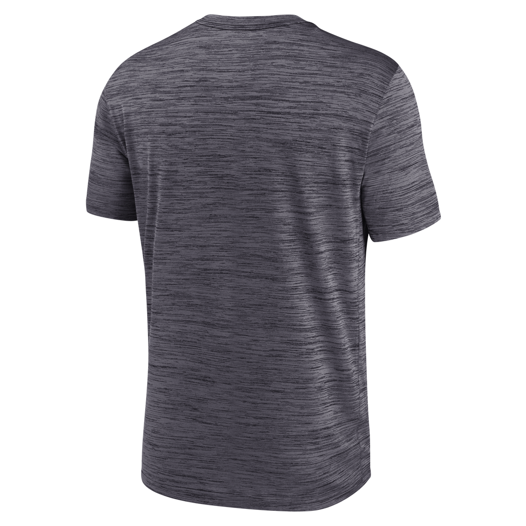 Rays Men's Nike 2026 Grey Devil Rays Alt Authentic Collection Velocity Dri Fit T-Shirt