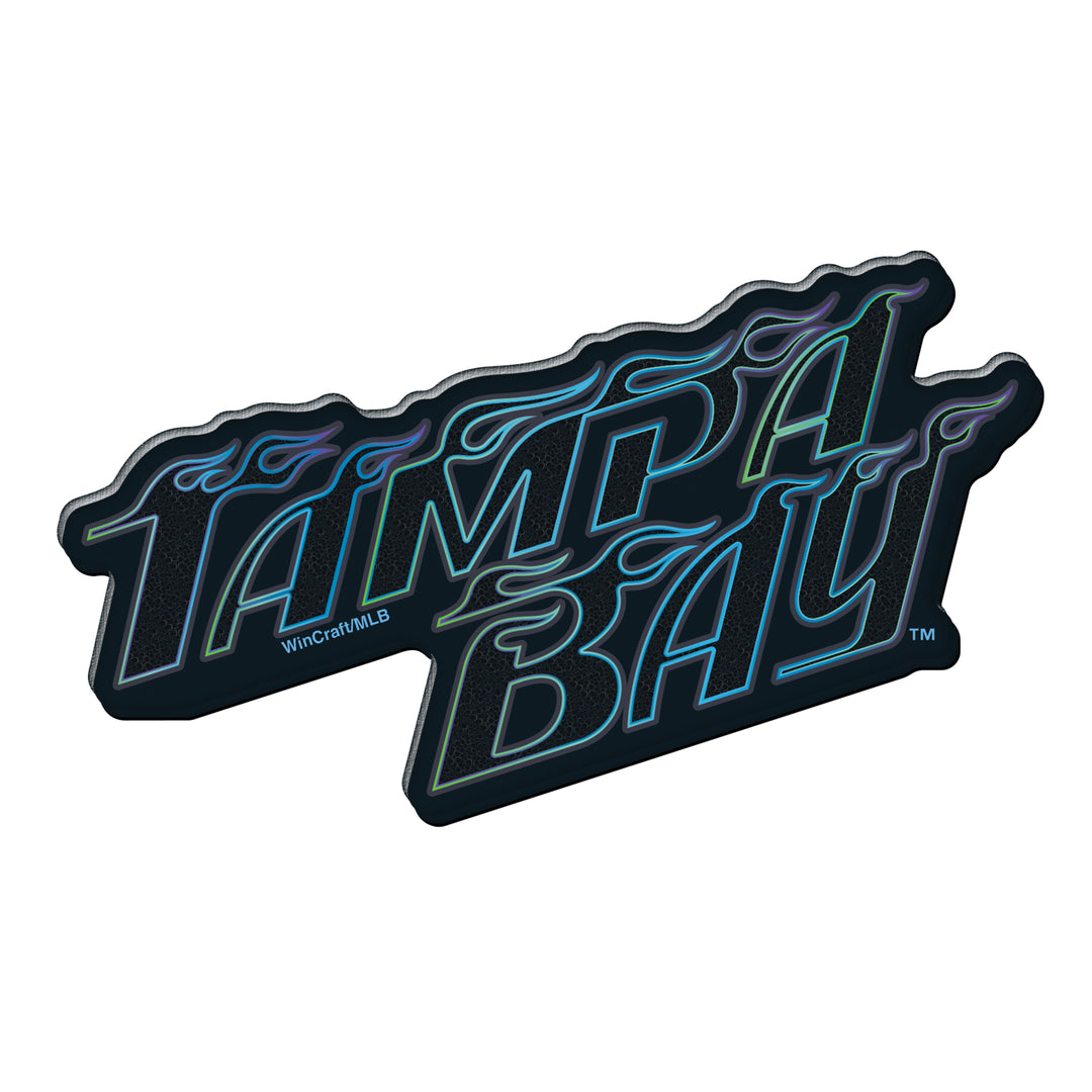 Rays City Connect Tampa Bay Logo 4x4 Acrylic Magnet