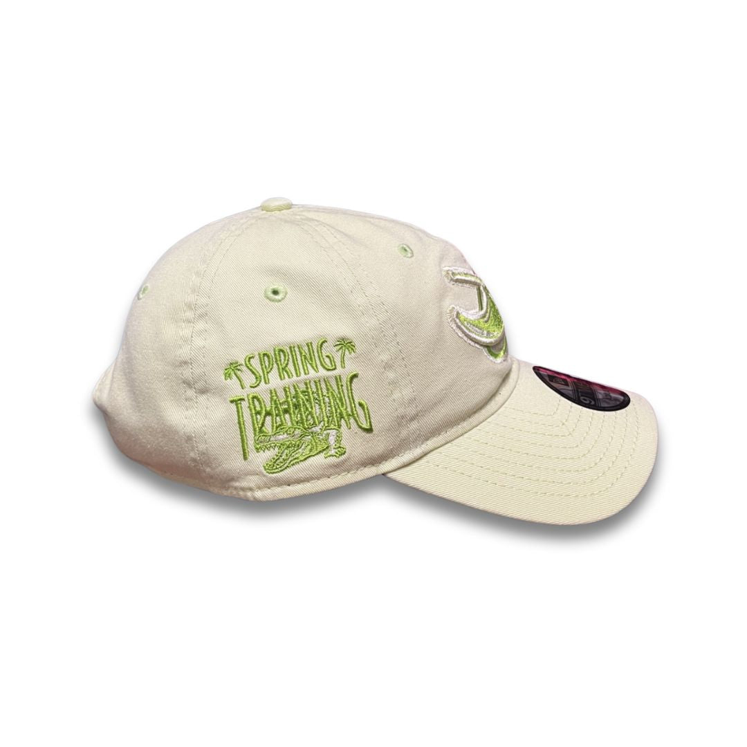 Rays Youth New Era Pastel Green 2025 Spring Training Alt Florida 9Twenty Adjustable Hat