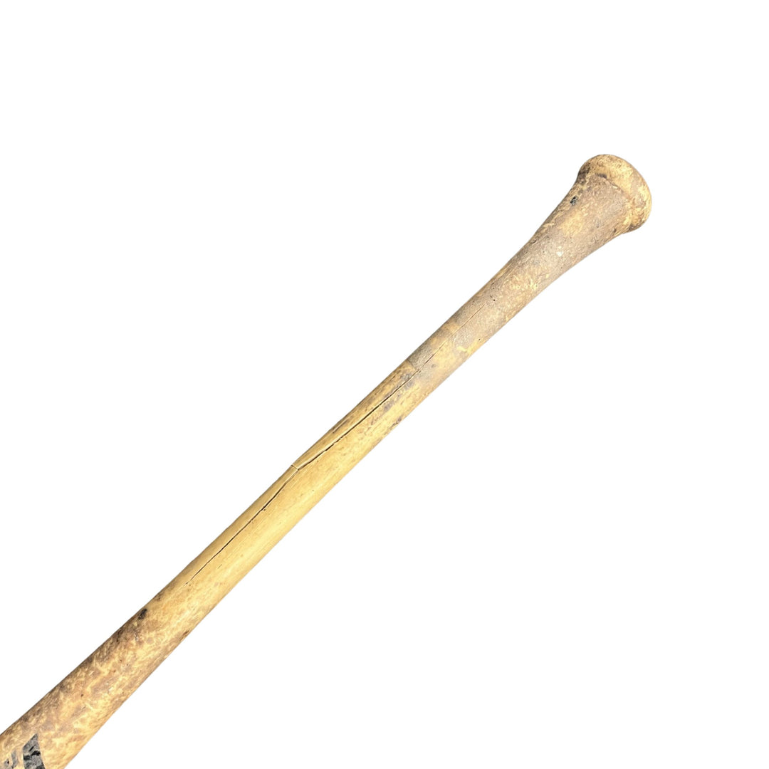 Rays Jonathan Aranda Game Used Autographed Broken Bat