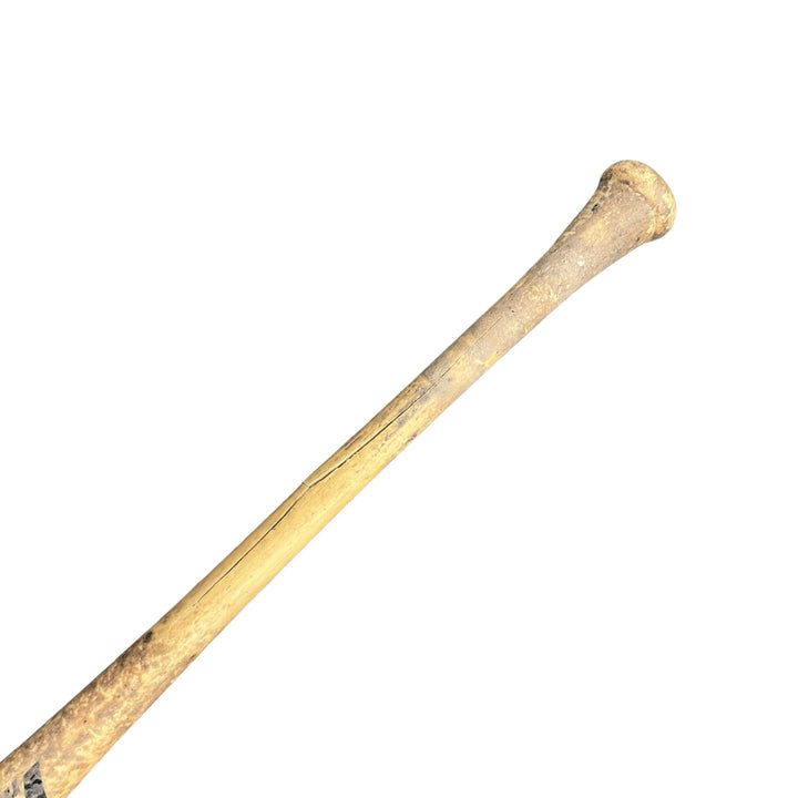 Rays Jonathan Aranda Game Used Autographed Broken Bat