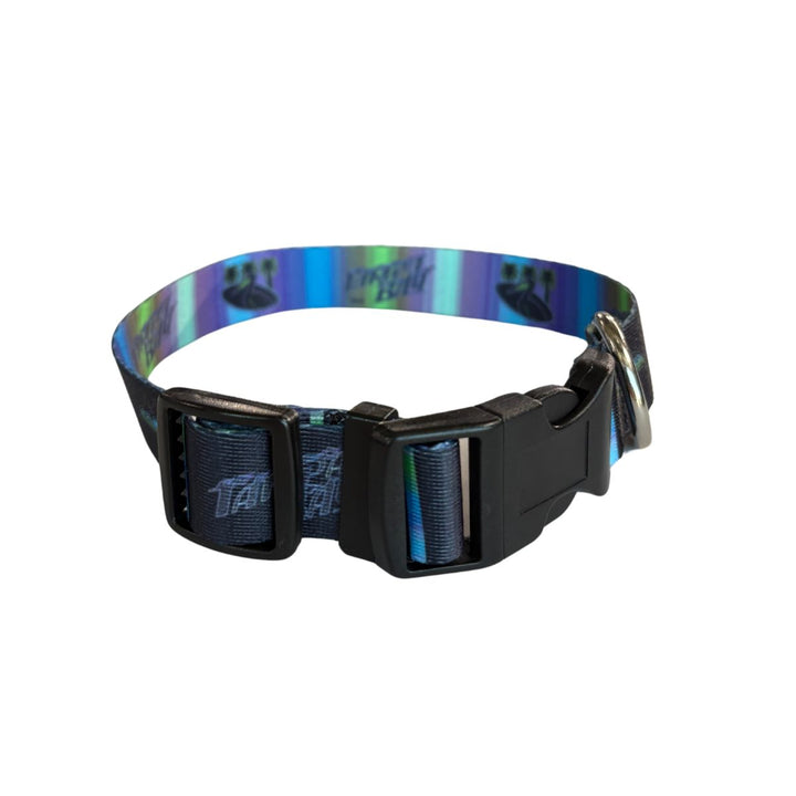 Rays Black City Connect Pet Collar