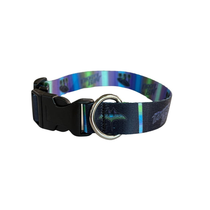 Rays Black City Connect Pet Collar