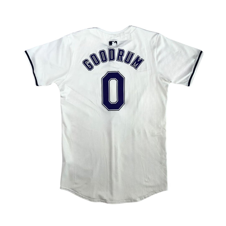 Rays Niko Goodrum Team Issued Authentic Devil Rays Jersey