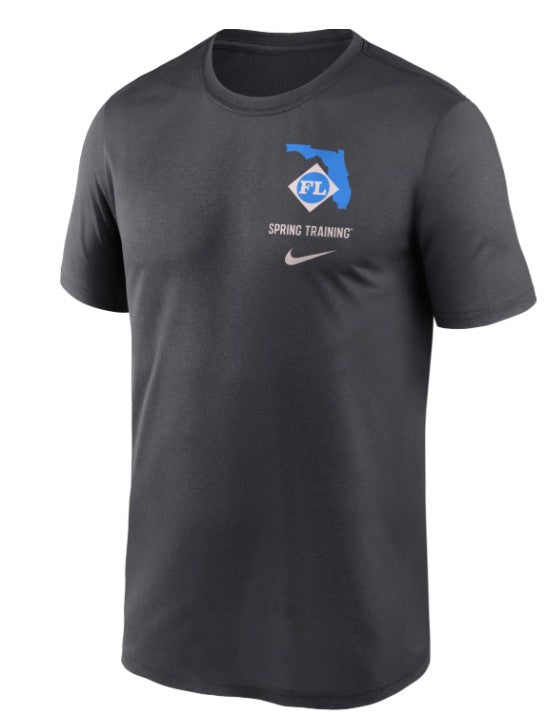 Rays Youth Nike Grey Grapefruit League Spring Training 2025 Legend T-Shirt