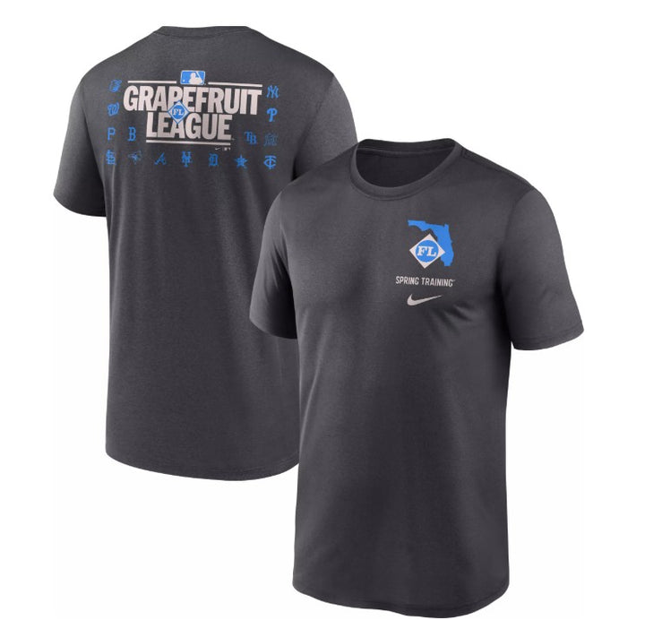 Rays Youth Nike Grey Grapefruit League Spring Training 2025 Legend T-Shirt