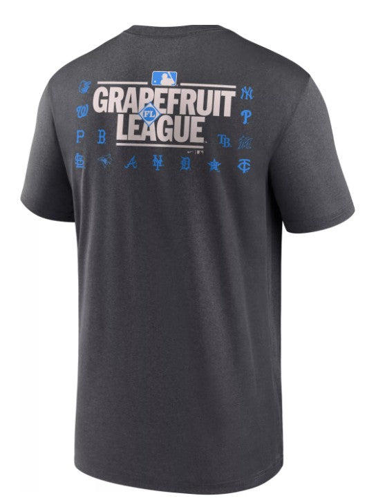 Rays Youth Nike Grey Grapefruit League Spring Training 2025 Legend T-Shirt