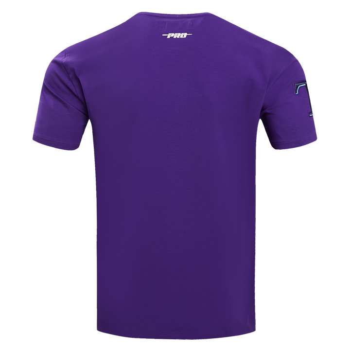 Rays Men's Pro Standard Purple 25th Anniversary T-Shirt