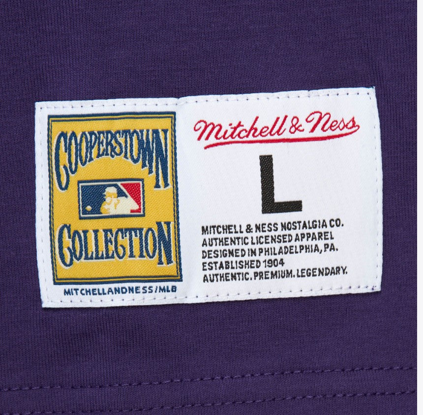 Rays Men's Mitchell & Ness Purple Devil Rays Premium Pocket T-Shirt