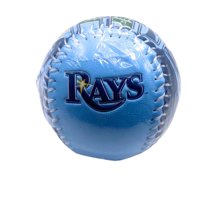 Rays Blue Tropicana Field Florida Rawlings Baseball