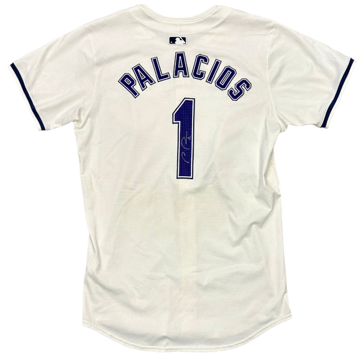 Rays Richie Palacios Team Issued Authentic Autographed Devil Rays Jersey