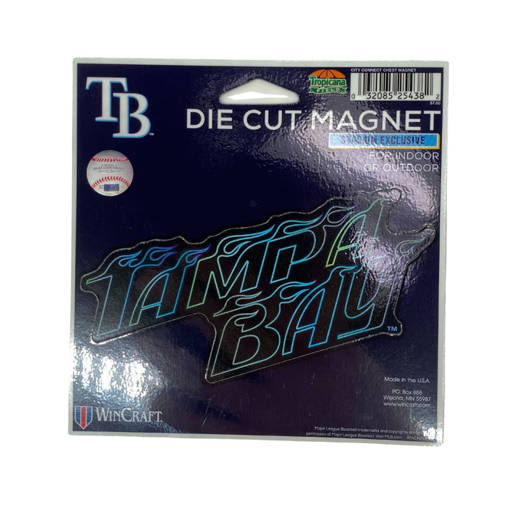 Rays City Connect Die Cut Tampa Bay Flames Logo 5x5 Magnet