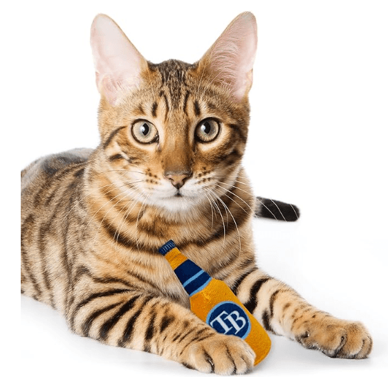 Rays 3 Piece Cat Nip Toy Set - The Bay Republic | Team Store of the Tampa Bay Rays & Rowdies