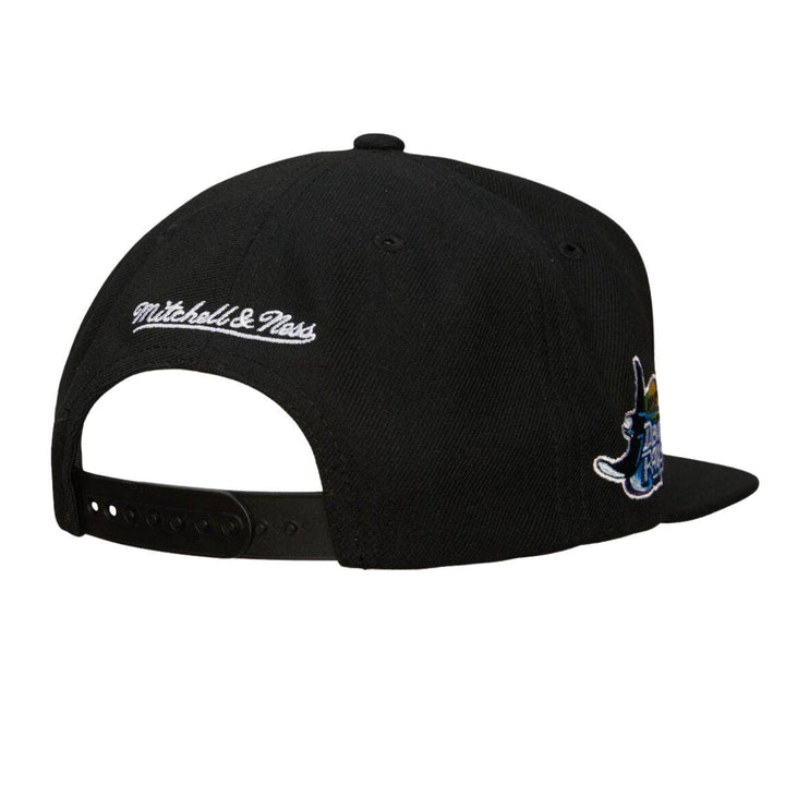 Rays Mitchell & Ness Black Devil Rays Coop Snapback Hat - The Bay Republic | Team Store of the Tampa Bay Rays & Rowdies