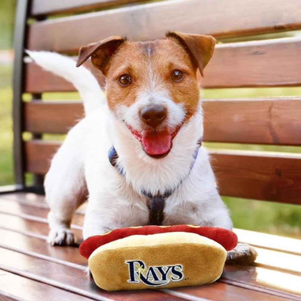 Rays Stadium Hot Dog Squeaky Toy - The Bay Republic | Team Store of the Tampa Bay Rays & Rowdies