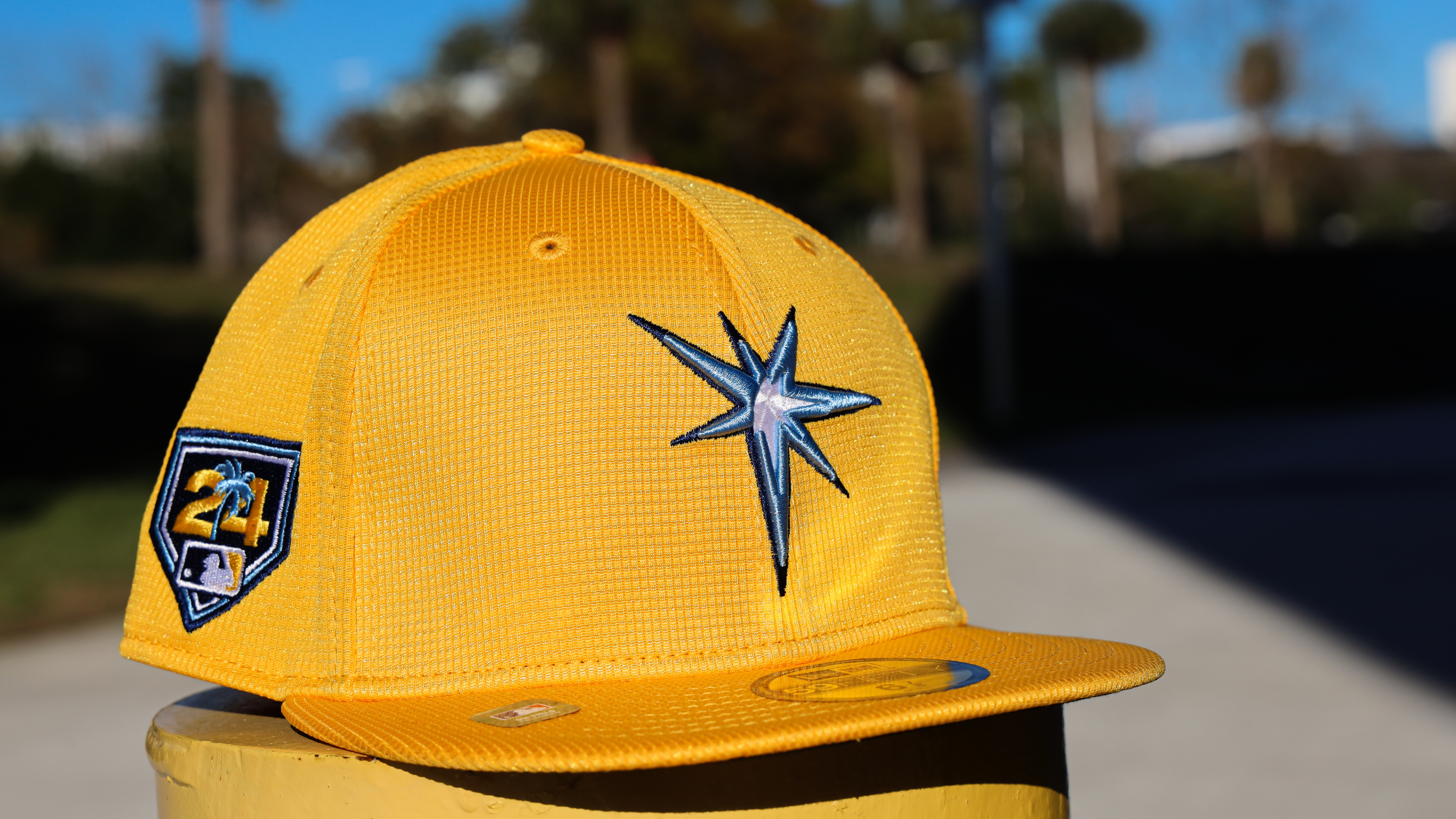 Rays baseball best sale shop