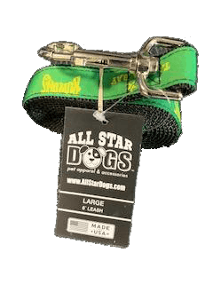 ROWDIES GREEN DOG LEASH - The Bay Republic | Team Store of the Tampa Bay Rays & Rowdies